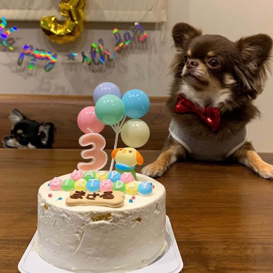 Baby's Toy BOX 4���������