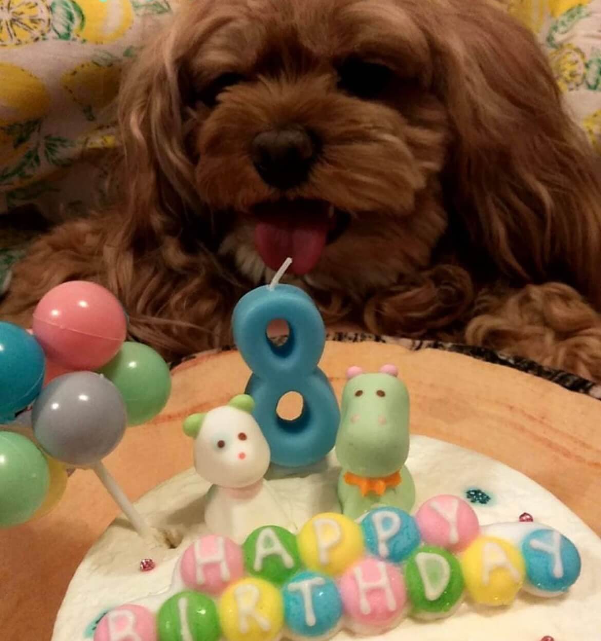 Baby's Toy BOX 4���������