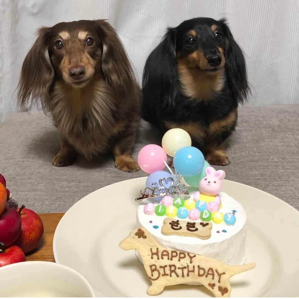 Baby's Toy BOX 4���������