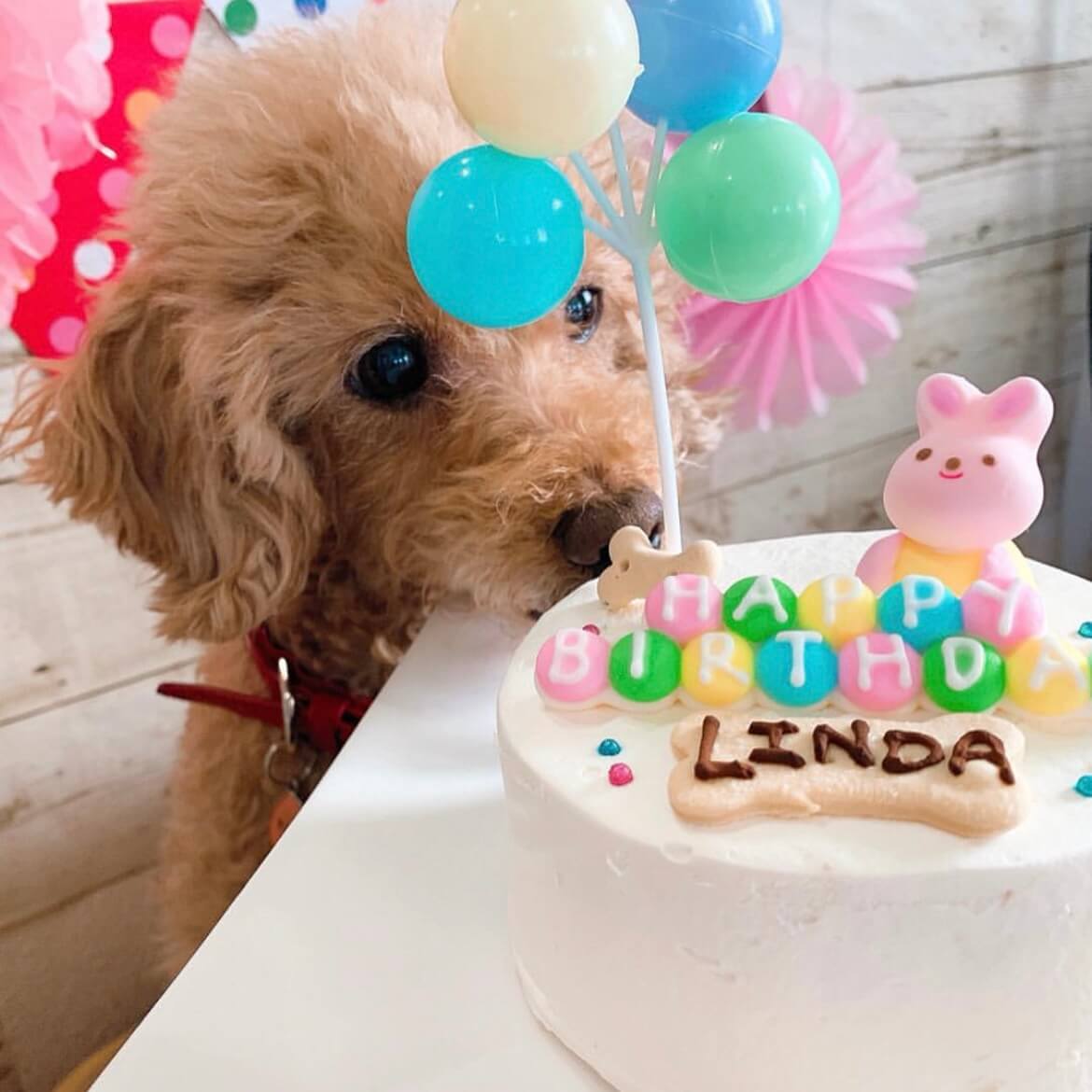 Baby's Toy BOX 4���������