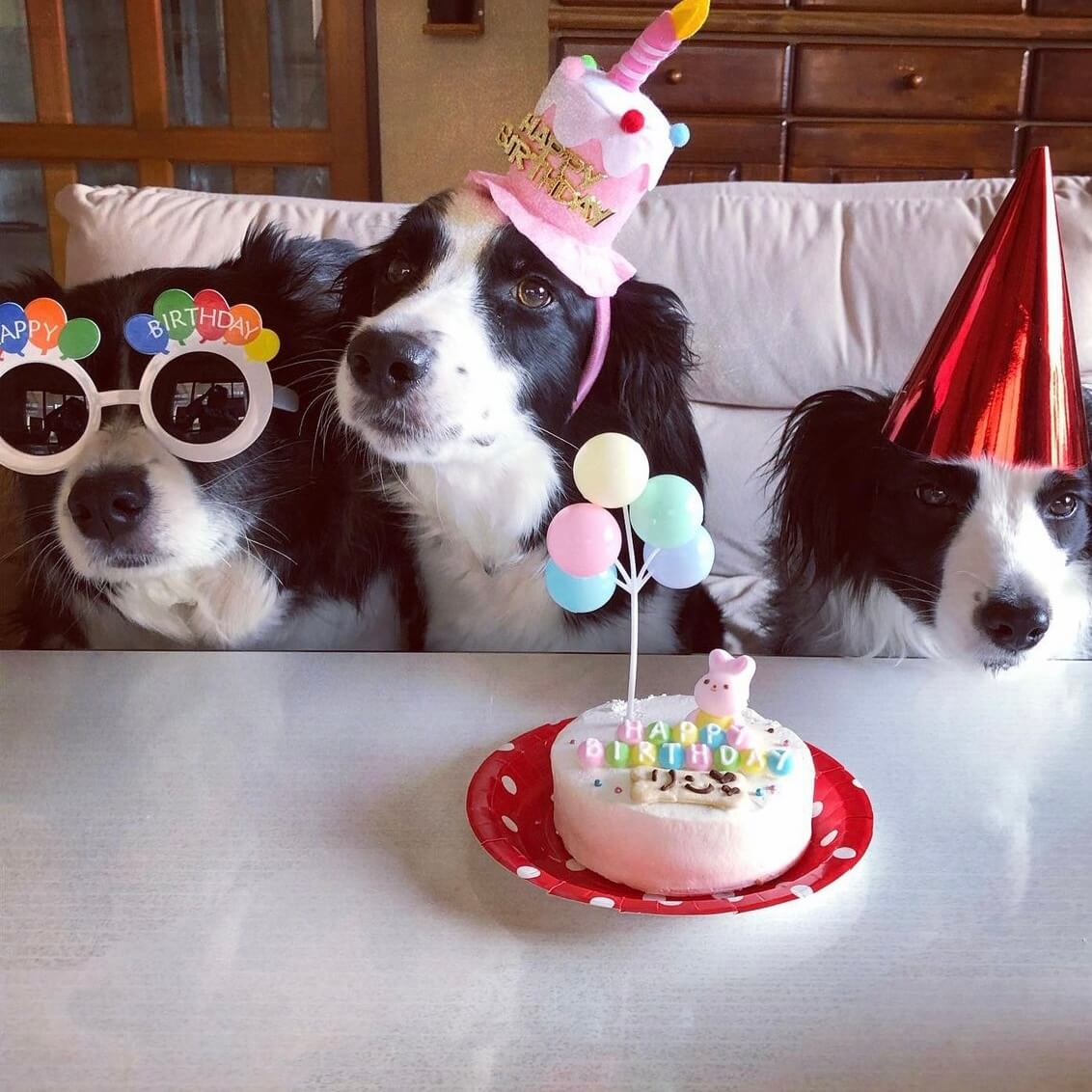 Baby's Toy BOX 4���������