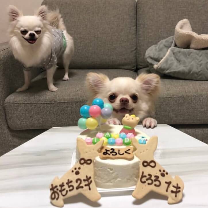 Baby's Toy BOX 4���������