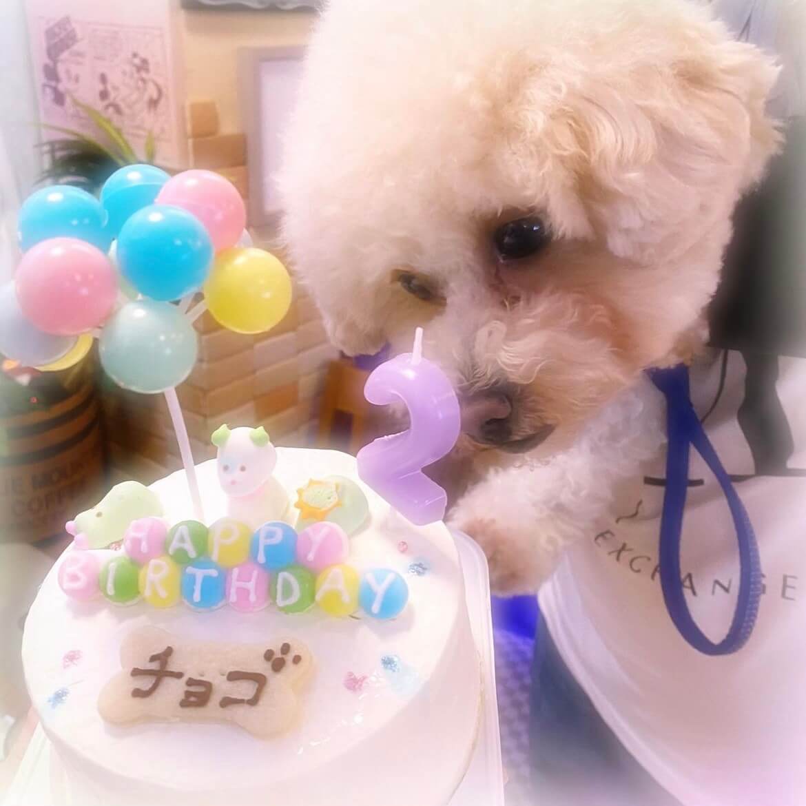 Baby's Toy BOX 4���������