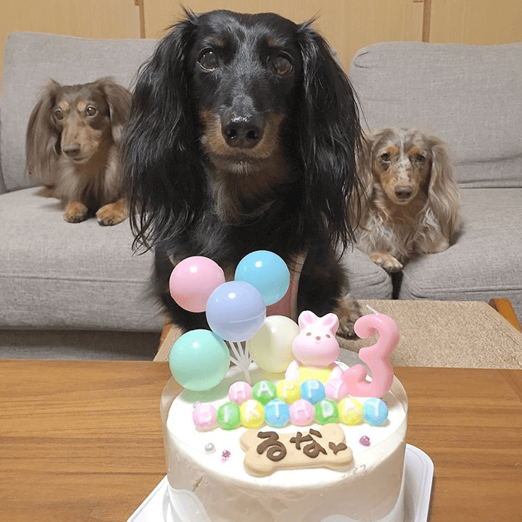 Baby's Toy BOX 4���������