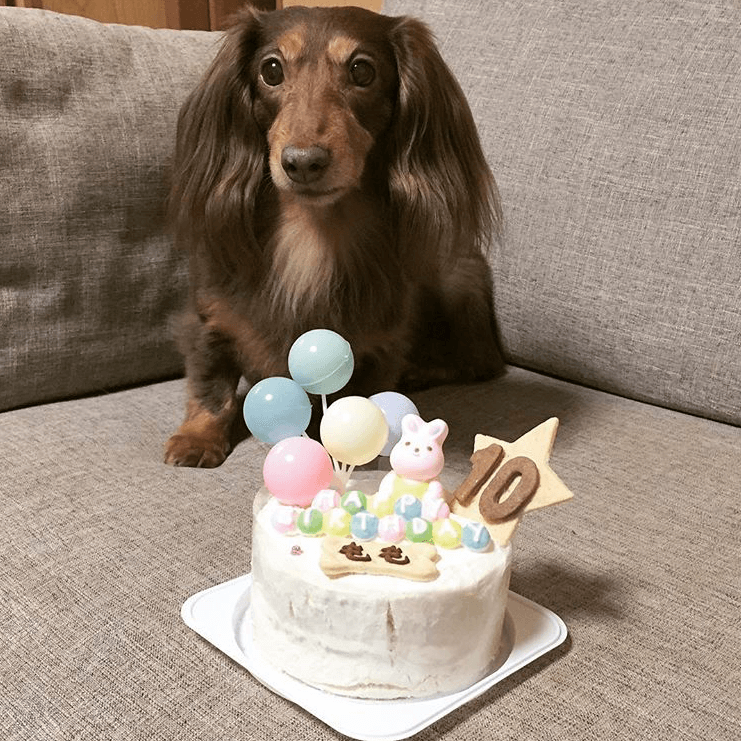 Baby's Toy BOX 4���������