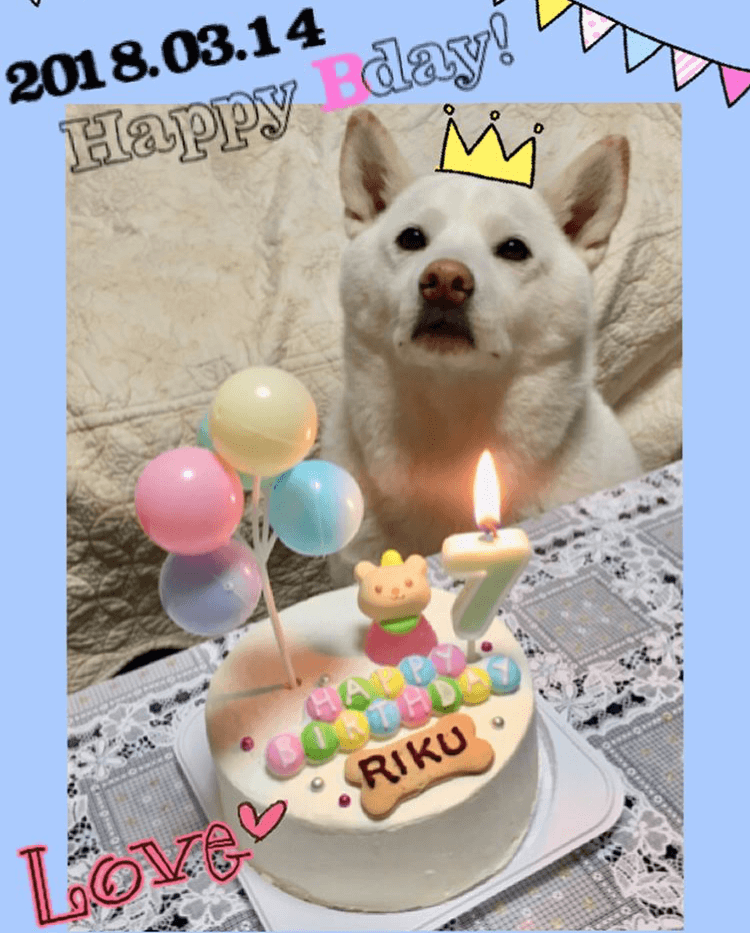 Baby's Toy BOX 4���������