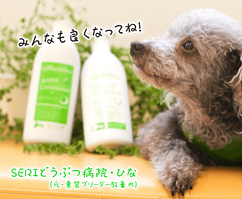 ԥ奢ޥå