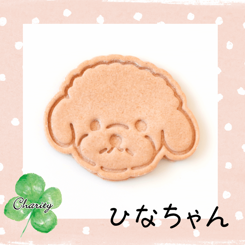 ƥCookies륮б