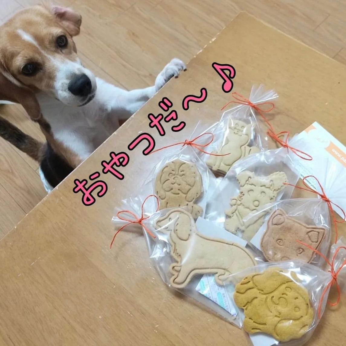 ƥCookies륮б