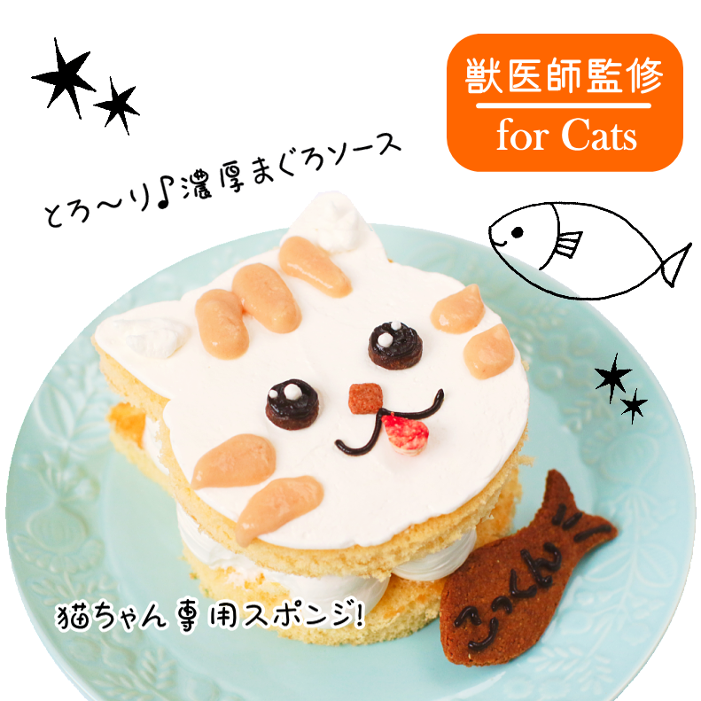 New��Kitty Cat�ʥե����ե����ˡ�������