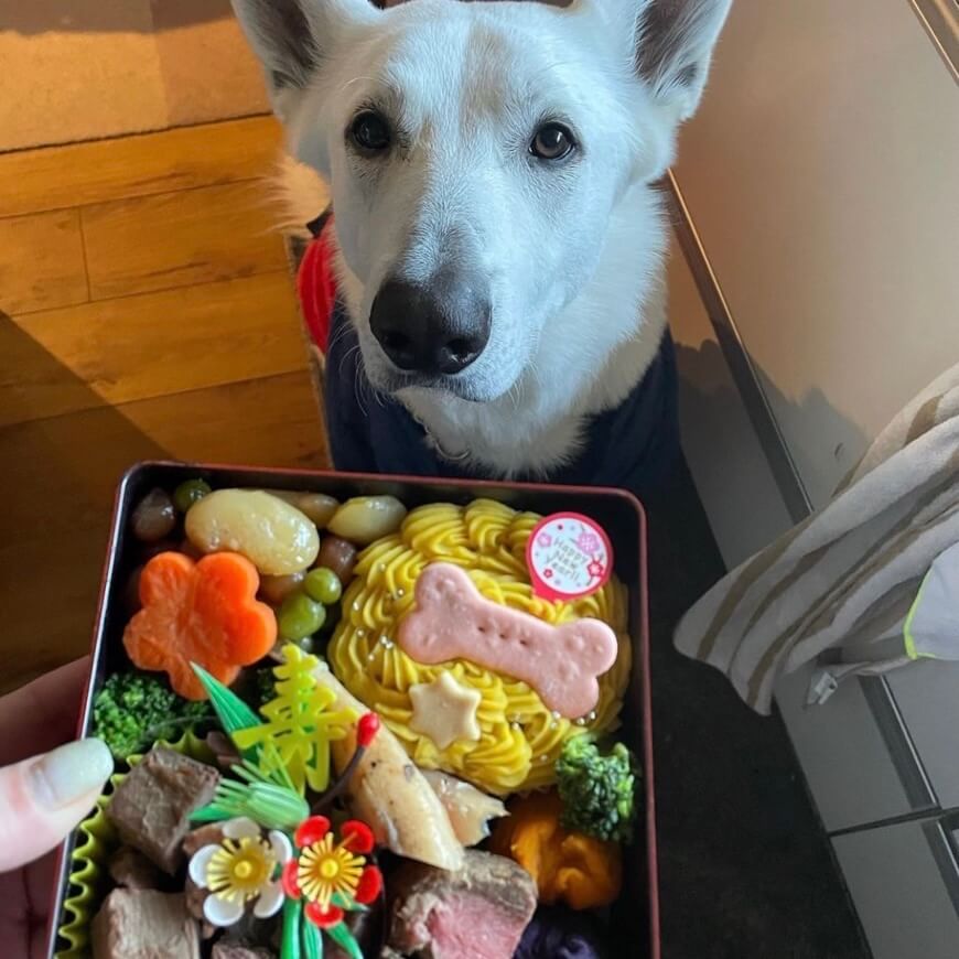 �ʥ���륮���б��˸��Ѥ������ʥ��죱�ʡˡ�������