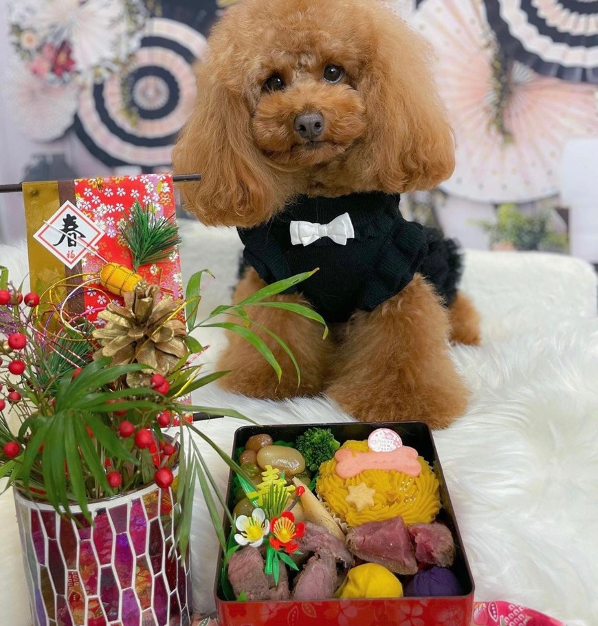 �ʥ���륮���б��˸��Ѥ������ʥ��죱�ʡˡ�������