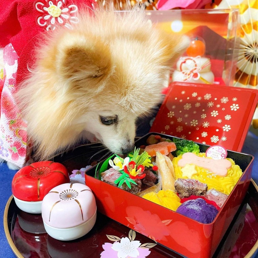 �ʥ���륮���б��˸��Ѥ������ʥ��죱�ʡˡ�������