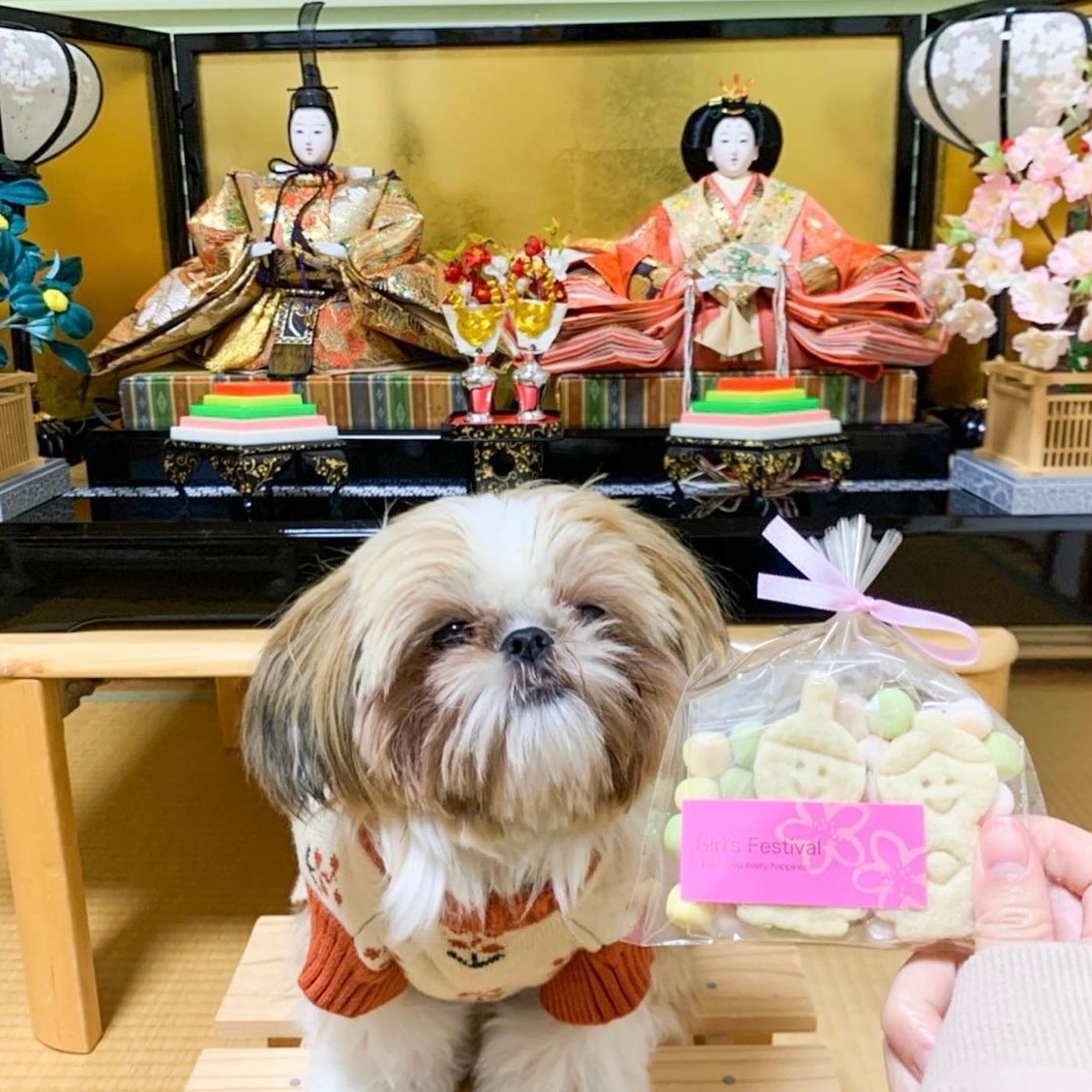 �������ä�����