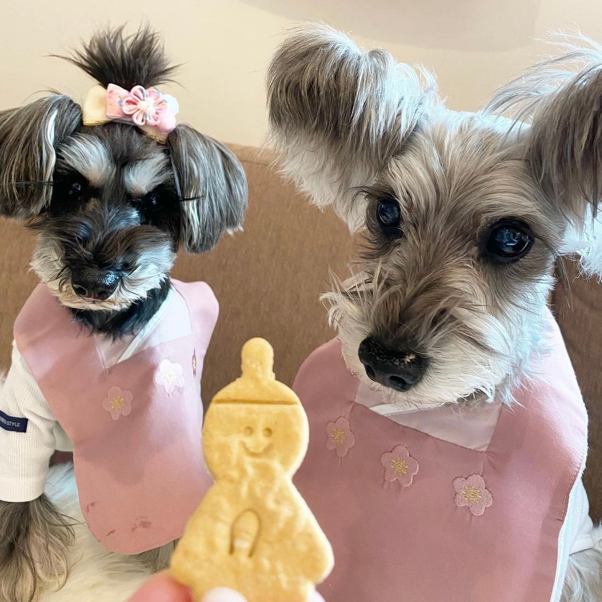 �������ä�����