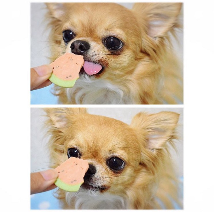 ����륮���б����������ե��