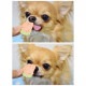 ����륮���б����������ե��