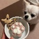 Raibowѥʣˡ