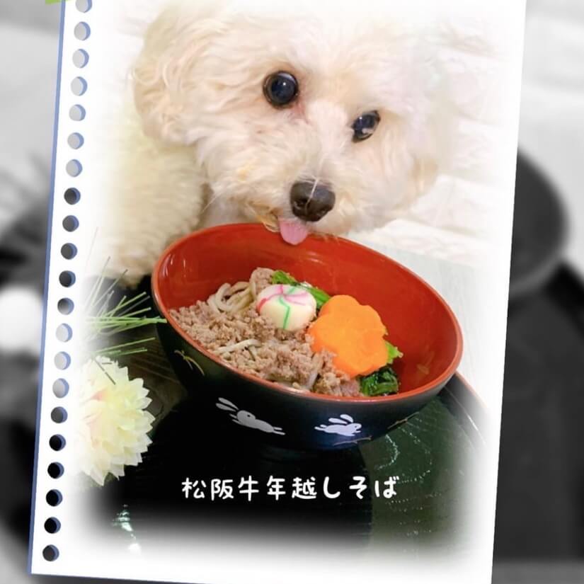 �����ǯ�ۤ����С���������ơ������åȡ�M���Сˡ�������