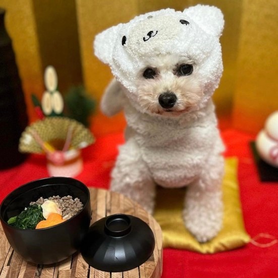 �����ǯ�ۤ����С���������ơ������åȡ�M���Сˡ�������