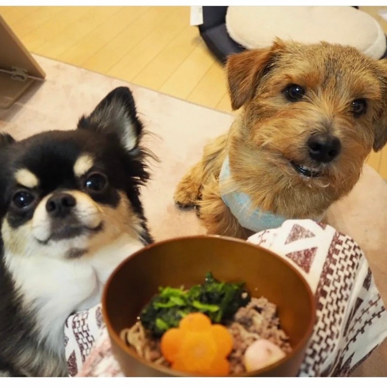 �����ǯ�ۤ����С���������ơ������åȡ�M���Сˡ�������