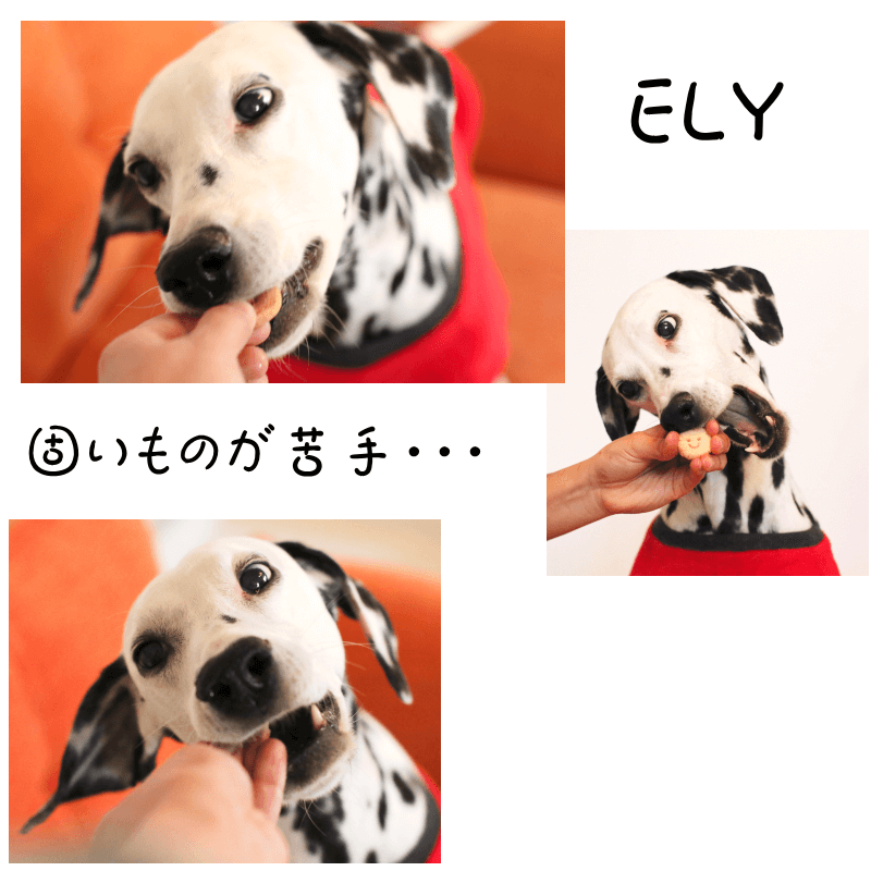 ELY�Υ��եȥ��å������䥮�ߤ뤯