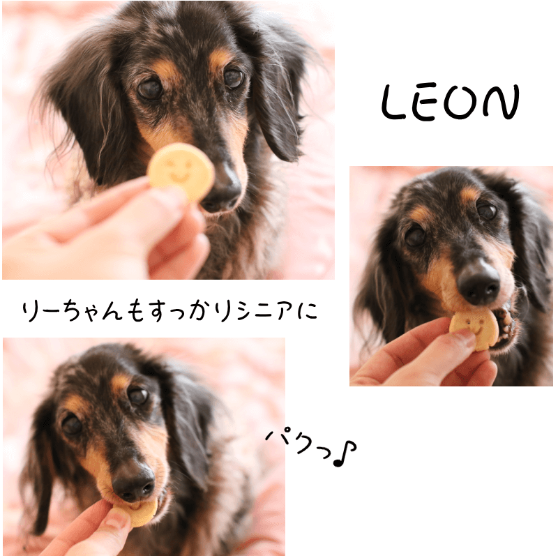 ELY�Υ��եȥ��å������䥮�ߤ뤯