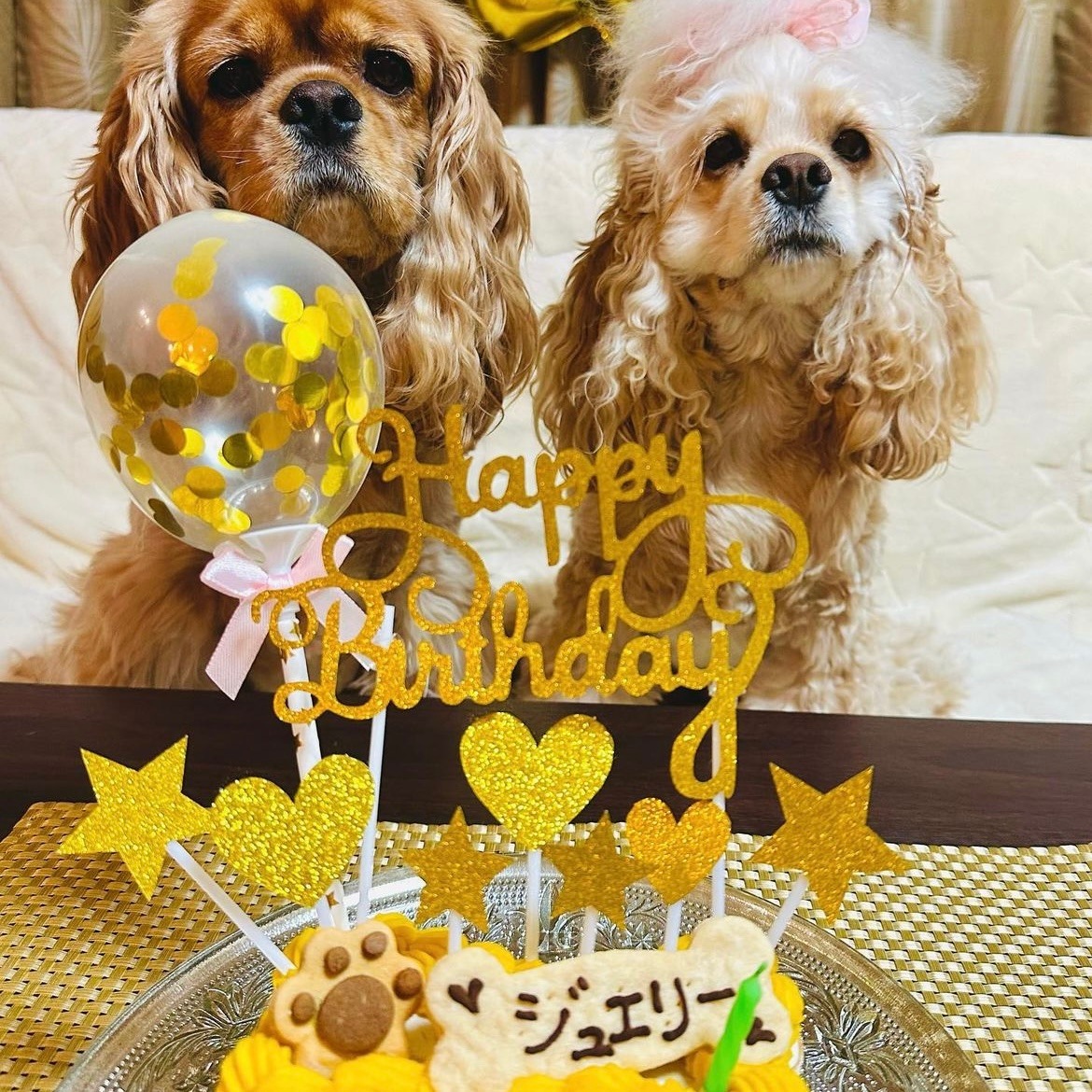 PaWty ܡ󡦥ǥ졼 (ɡ 5