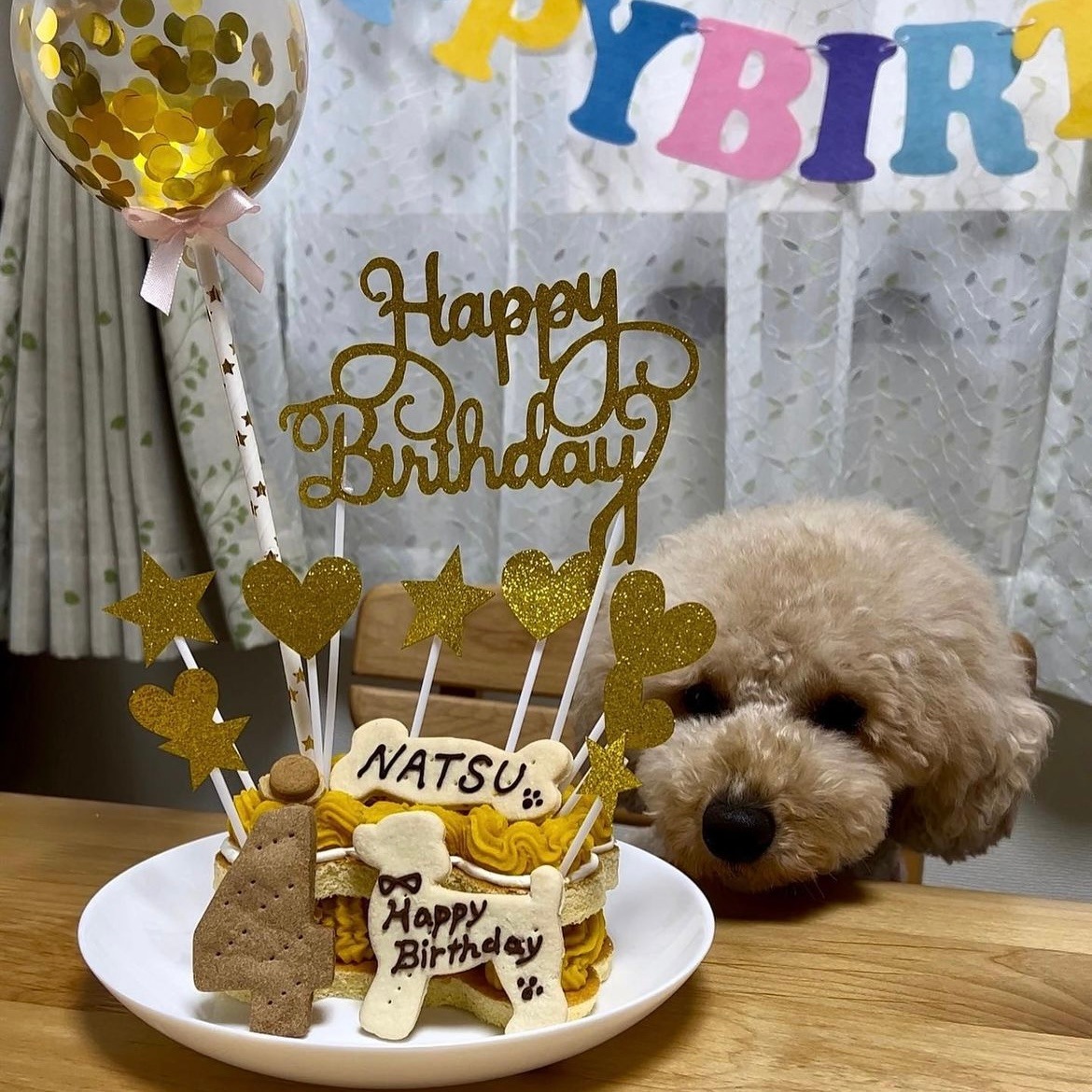 PaWty ܡ󡦥ǥ졼 (ɡ 5