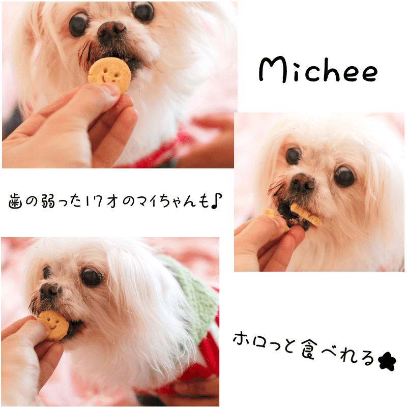 륮бELYΥեȥå᡼ץ