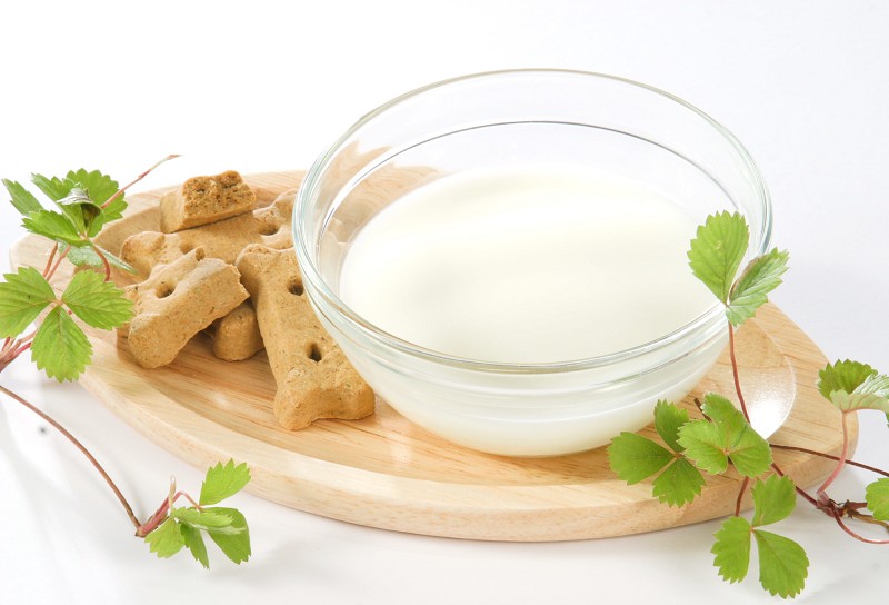 �䥮�ߥ륯100��ʥ䥮100��