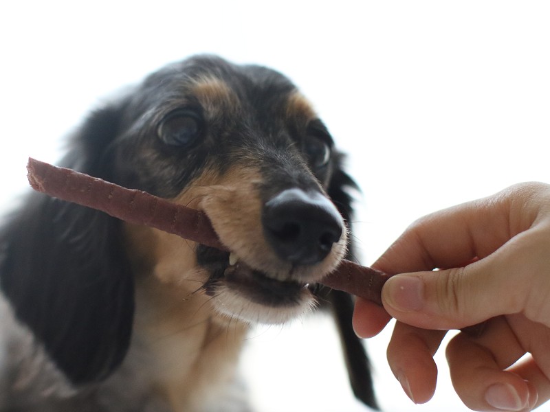 ���󥰥��㡼�������񻺵�