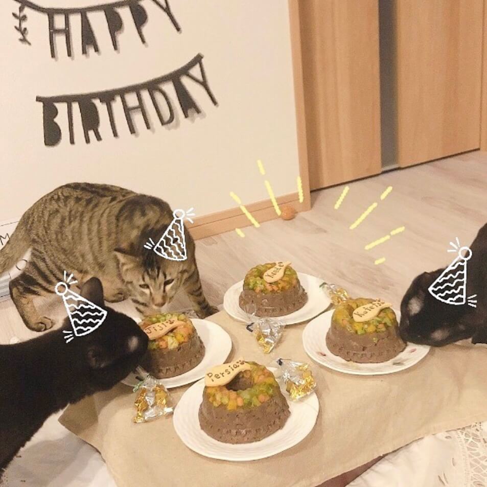 Сƥ꡼̡ʥʥСɥաˡ