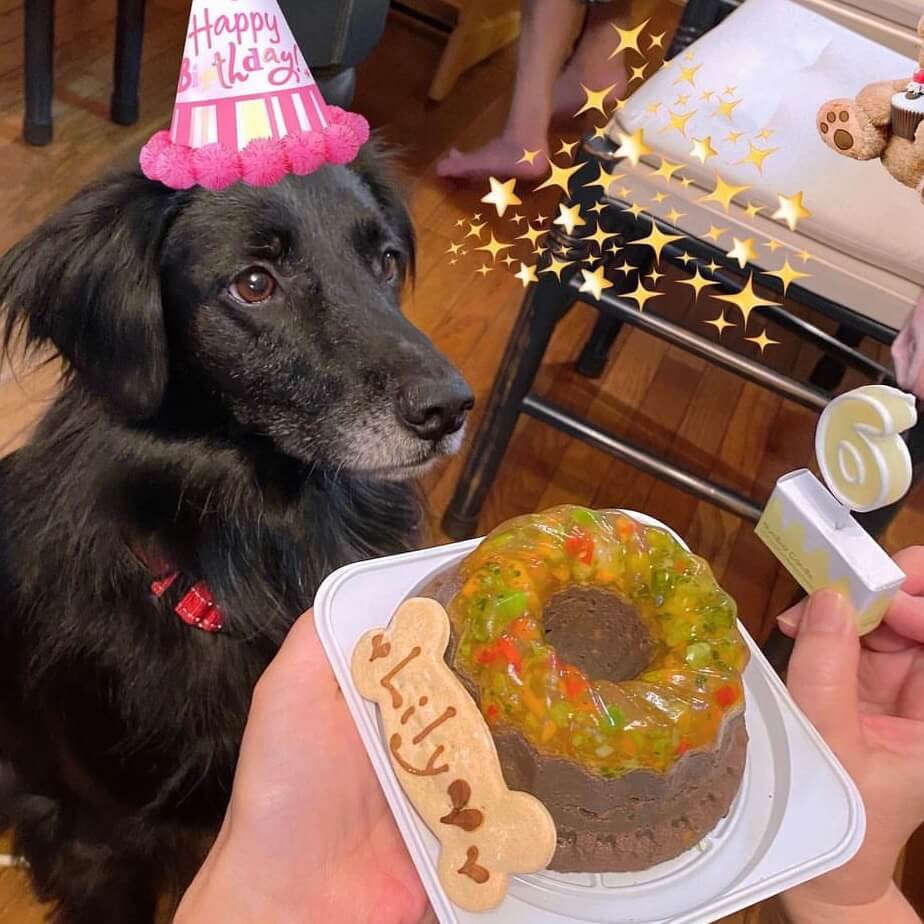 Сƥ꡼̡ʥʥСɥաˡ