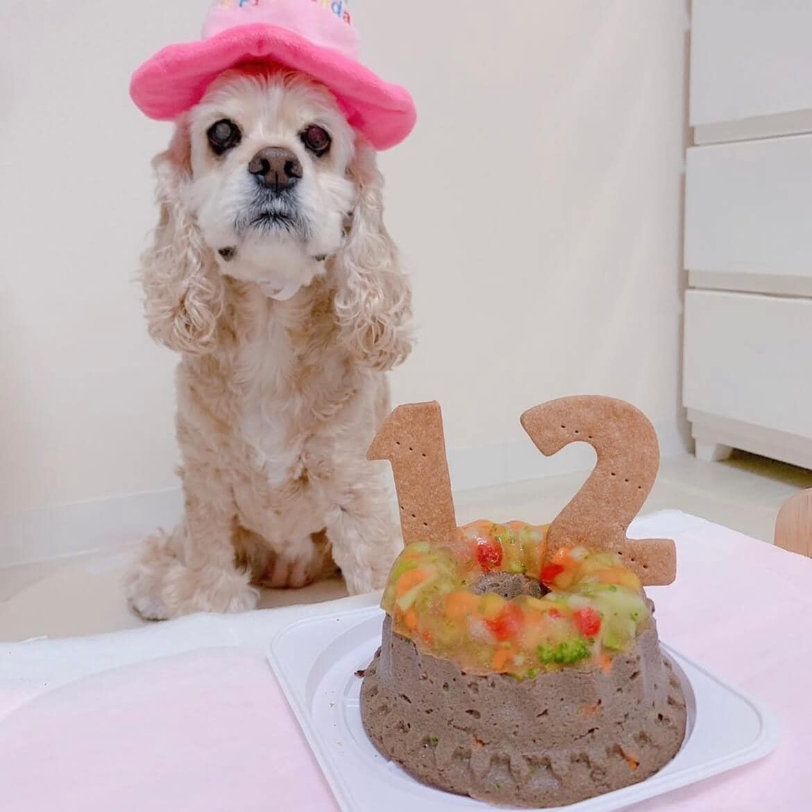 Сƥ꡼̡ʥʥСɥաˡ