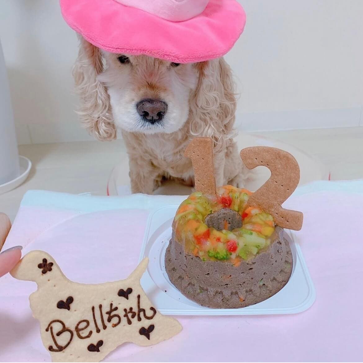 Сƥ꡼̡ʥʥСɥաˡ