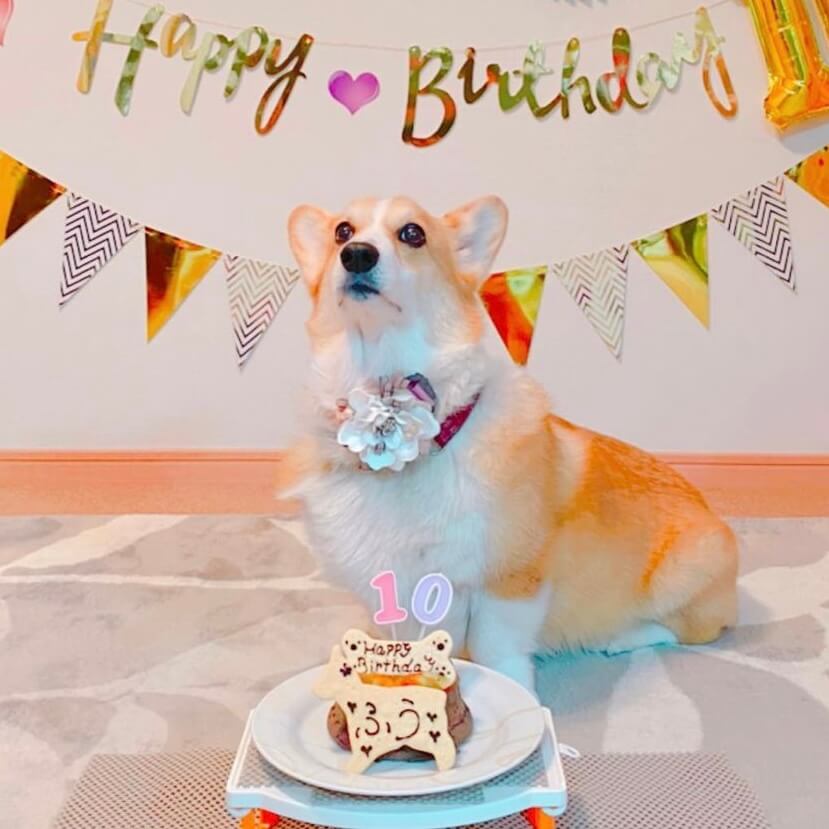 Сƥ꡼̡ʥʥСɥաˡ