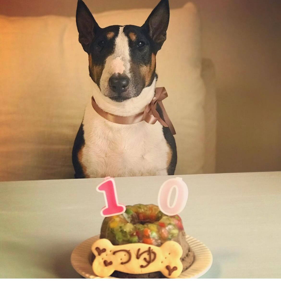 Сƥ꡼̡ʥʥСɥաˡ