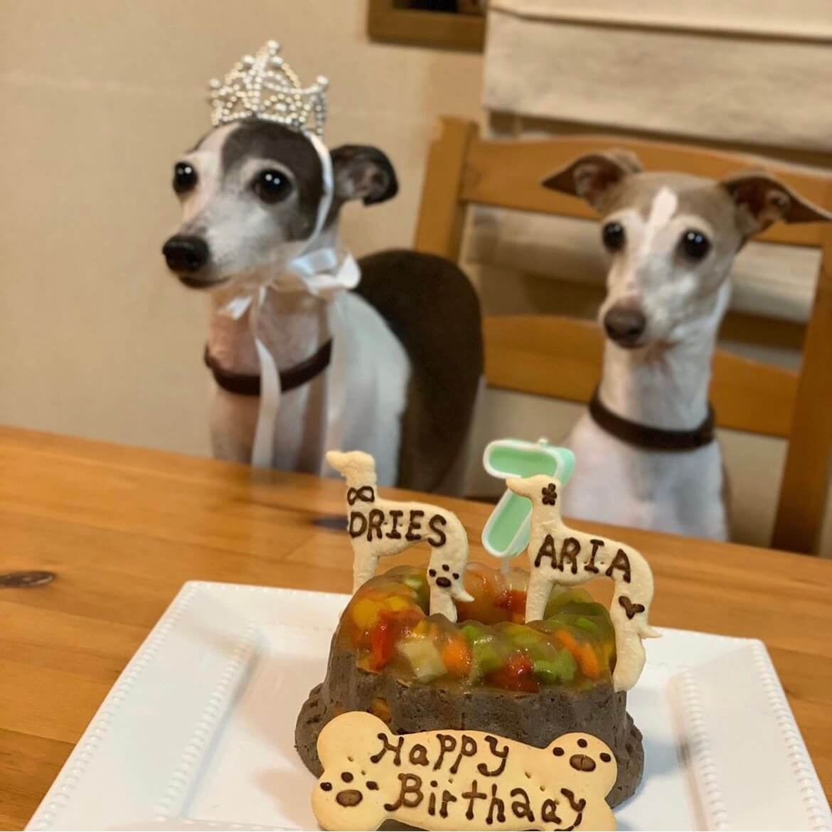 Сƥ꡼̡ʥʥСɥաˡ