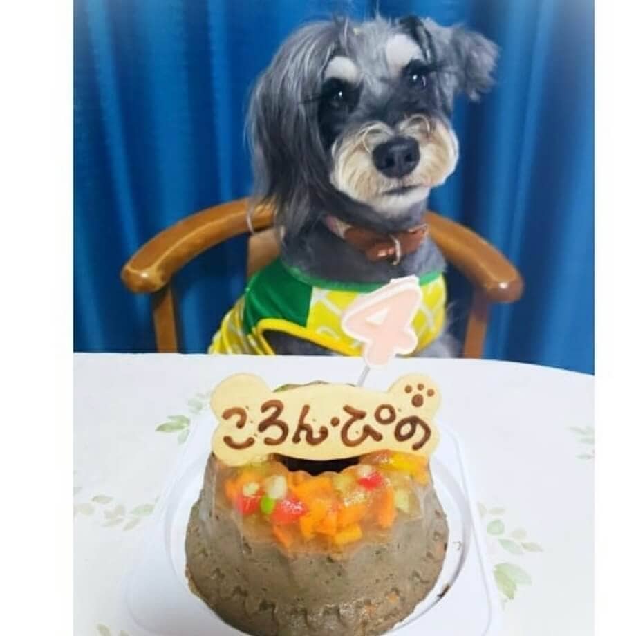 Сƥ꡼̡ʥʥСɥաˡ