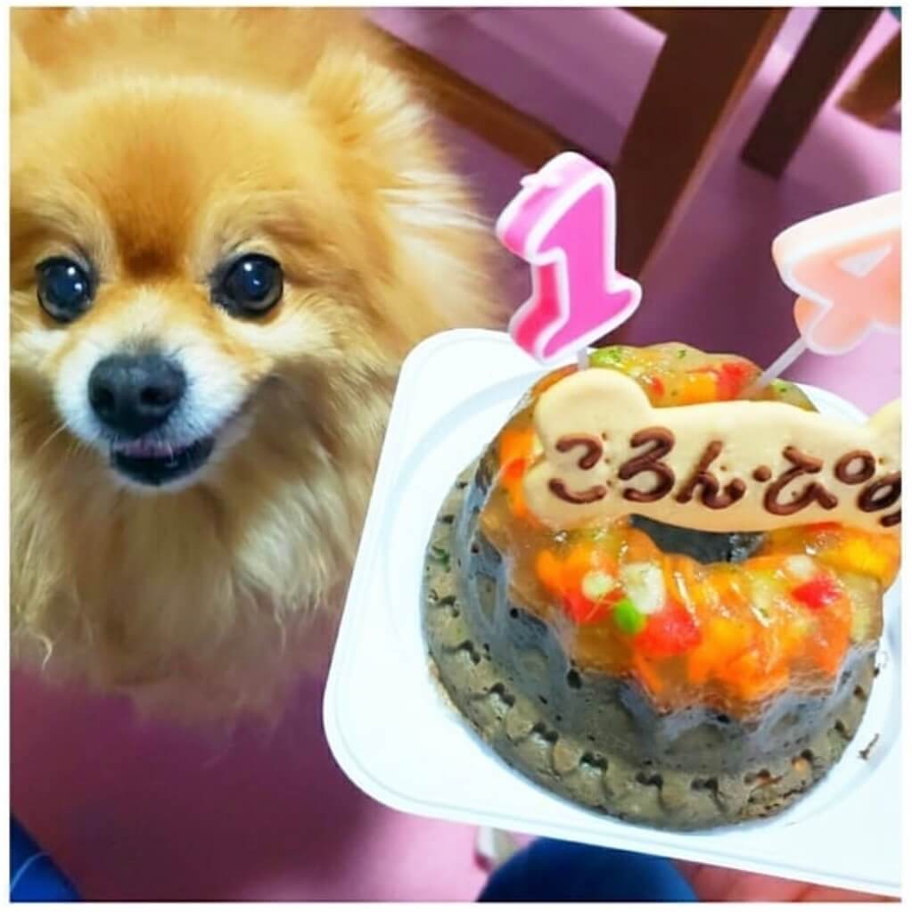 Сƥ꡼̡ʥʥСɥաˡ