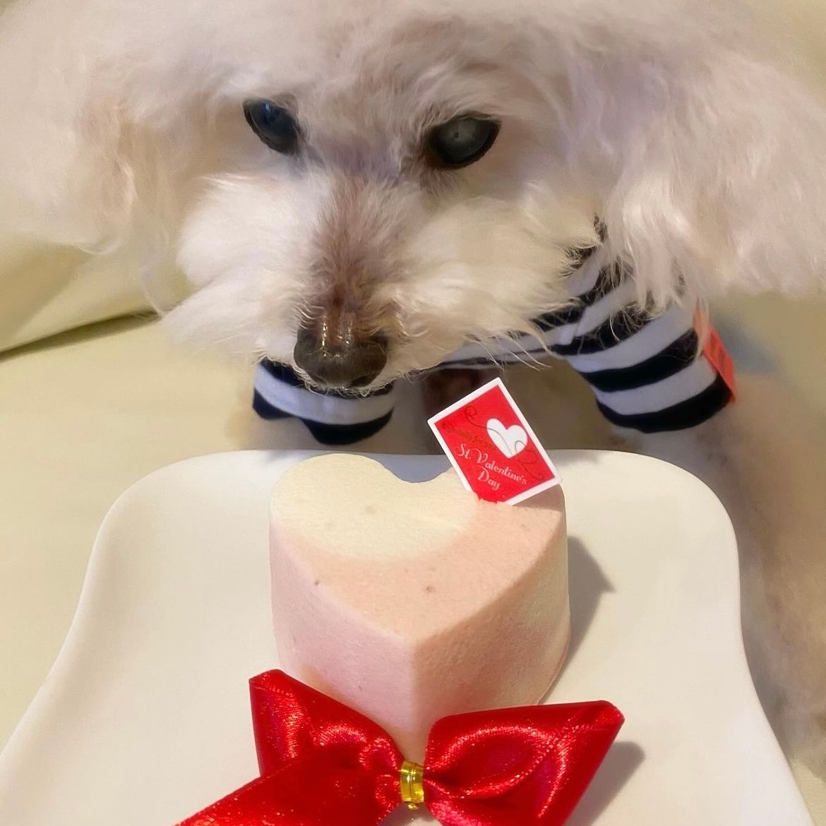 ���Υ쥢��������������������