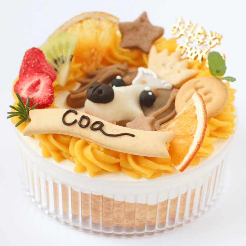 ���ѻ��鳨��������Scoop���������ˡ�������