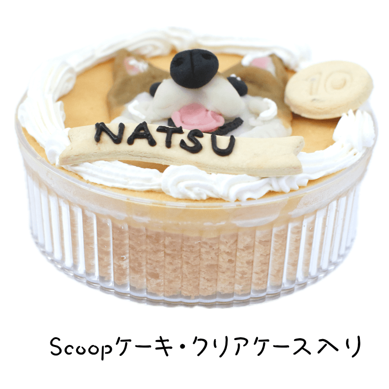 ѻ鳨Scoop륮бˡ