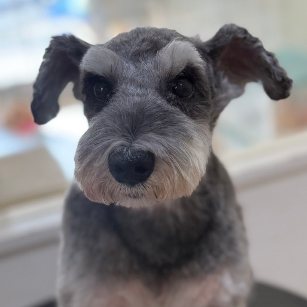 ���ѻ��鳨�������ʥ��ڥ����Drip�ˡ�������