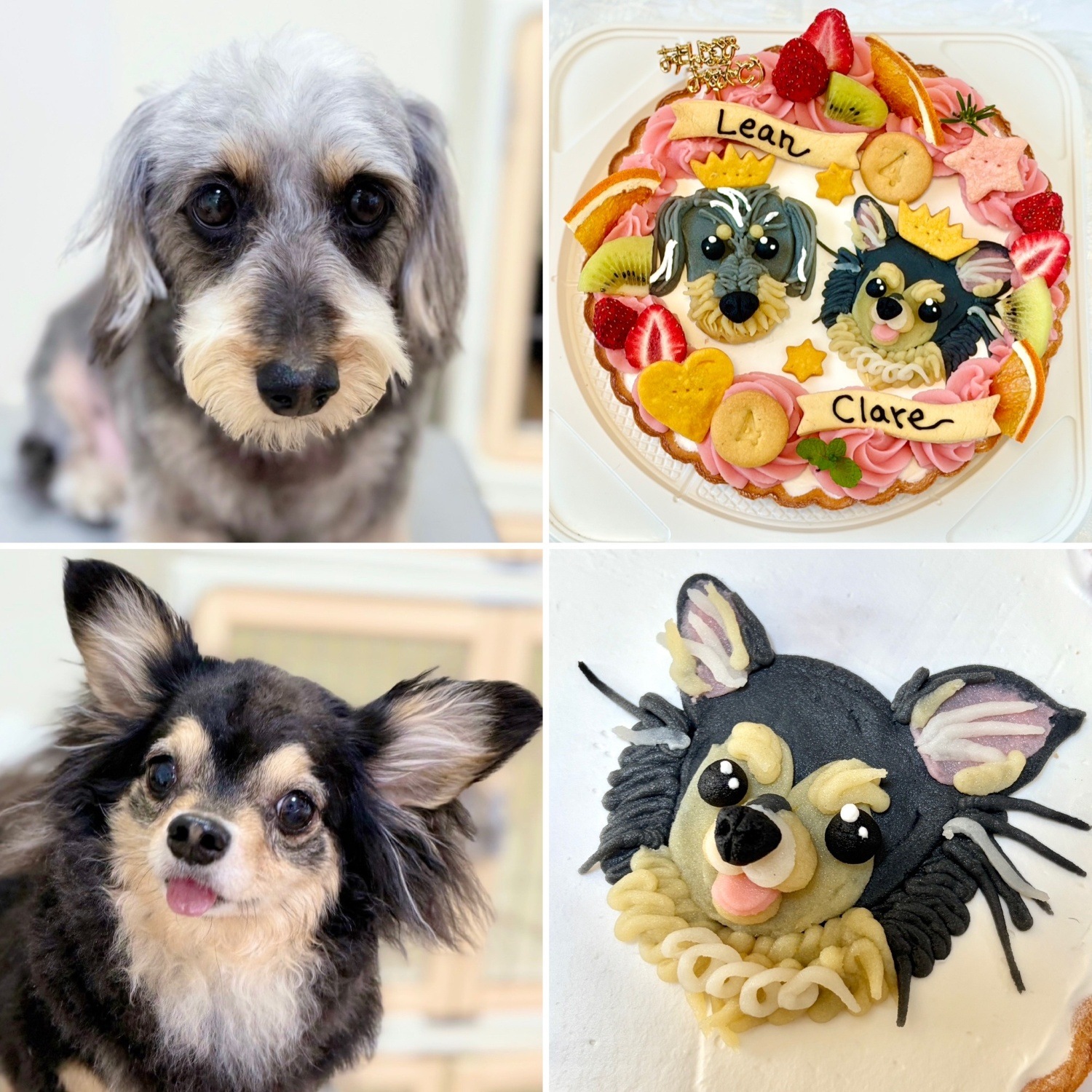 ��Ƭ�����ѻ��鳨�������ʥ���ȡ�18����ˡ�������