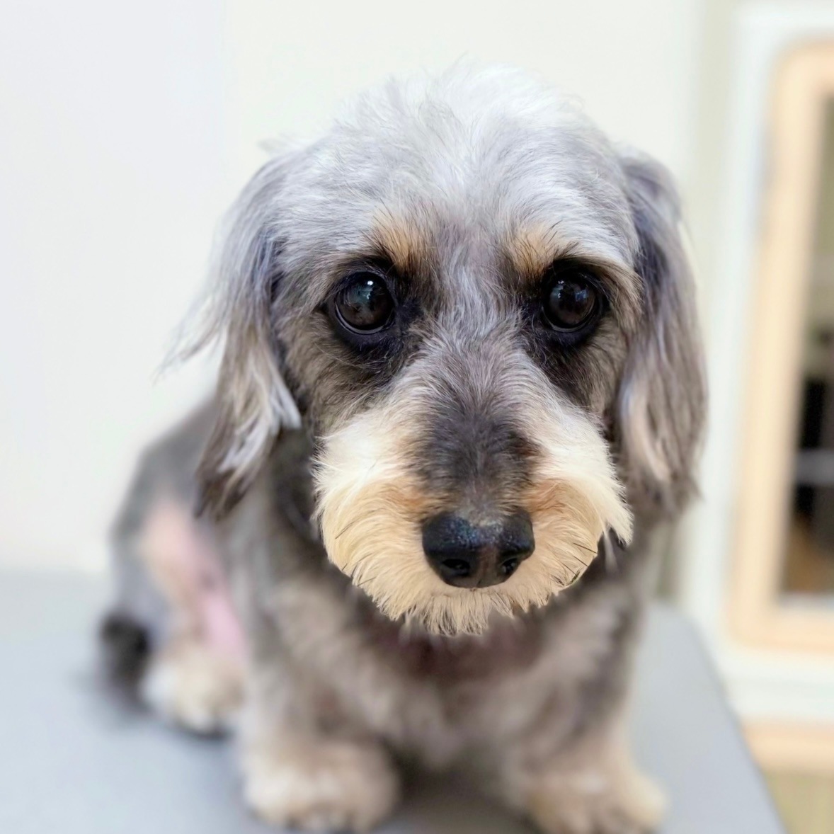 ��Ƭ�����ѻ��鳨�������ʥ���ȡ�18����ˡ�������