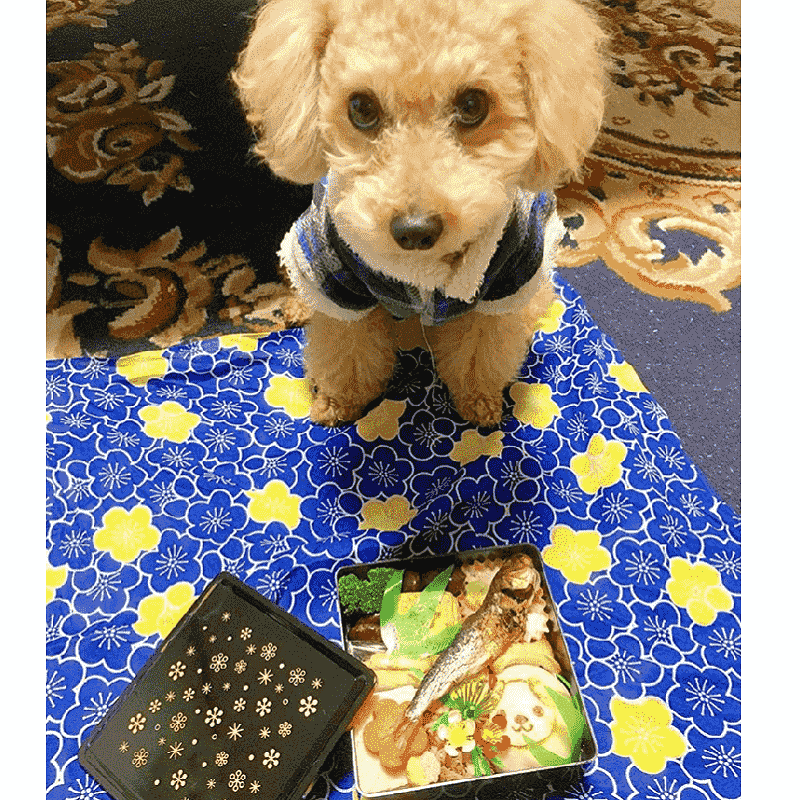 �ʸ��ѡ˾�����������������ʸ��������ˡ�������