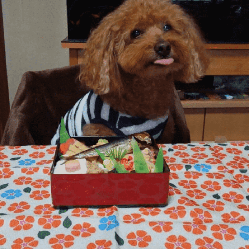 �ʸ��ѡ˾�����������������ʸ��������ˡ�������