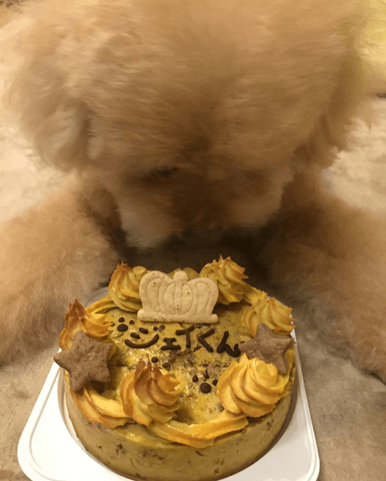 �٥����ɡ��������ȥݥƥȡ�5���������